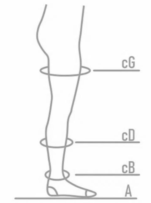 Как подобрать размер ERGOFORMA EU 267