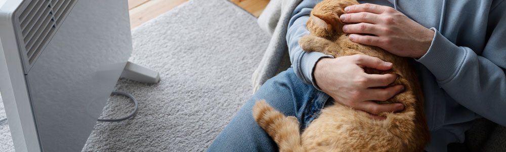 Небольшой очиститель воздуха с угольным фильтром