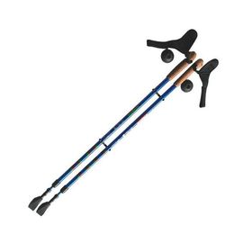 Палки для скандинавской ходьбы Ergoforce E 0673