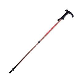 Палки для скандинавской ходьбы Armed STC035