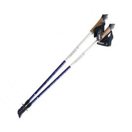 Палки для скандинавской ходьбы Kinerapy RW902