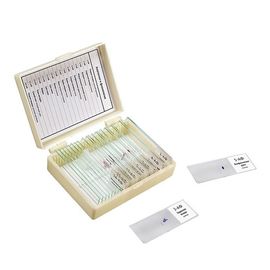 Набор препаратов «Анатомия и физиология» для школы (16 образцов)