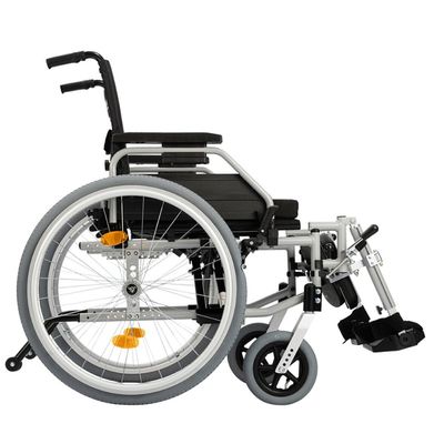 Ortonica Base Lite 300