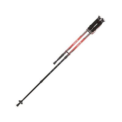 Палки для скандинавской ходьбы Armed STC034