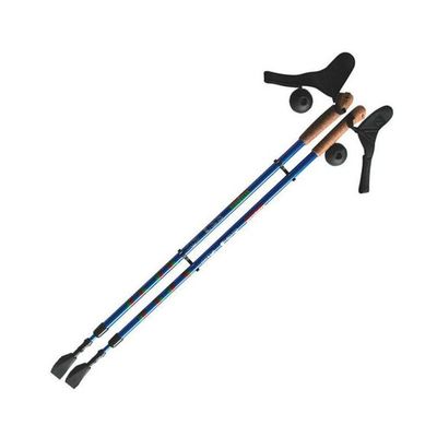 Палки для скандинавской ходьбы Ergoforce E 0673