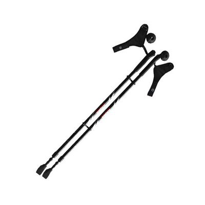 Палки для скандинавской ходьбы Ergoforce E 0674