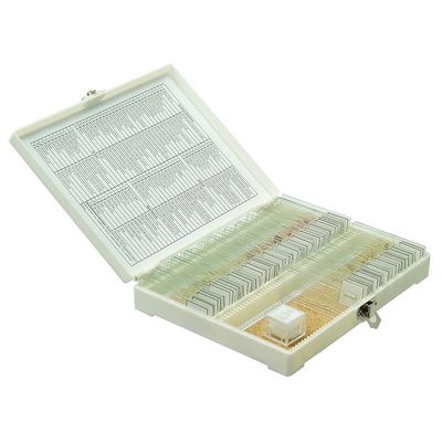 Набор готовых микропрепаратов Микромед №80