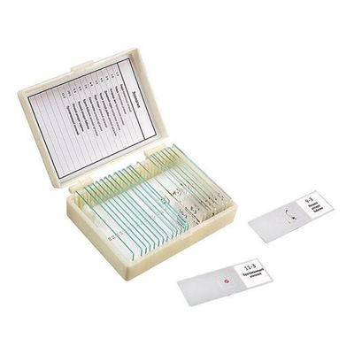 Набор препаратов для микроскопа «Зоология» (11 образцов)