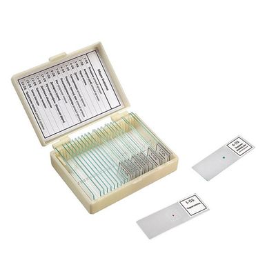 Набор препаратов для микроскопа «Общая биология» (9 образцов)