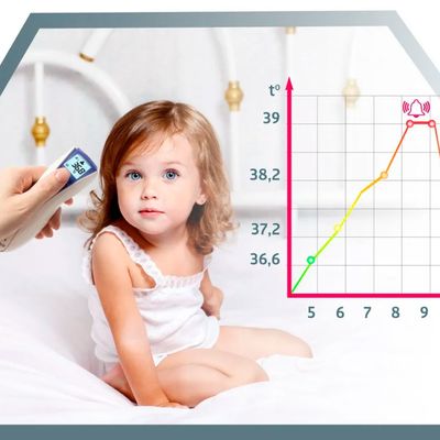 Память градусника B.Well WF-5000 на 10 измерений